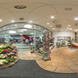 City Galerie – Blume 2000